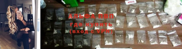 сатива Балабаново