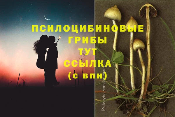 спайс Балахна