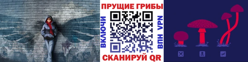 Псилоцибиновые грибы мицелий  наркотики  Горняк 